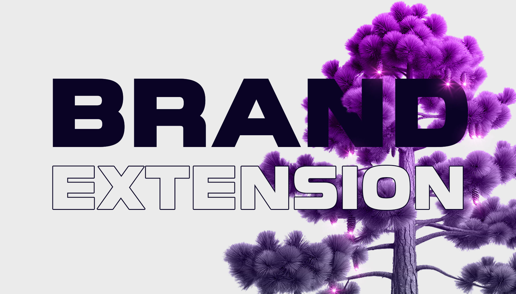 What-is-Brand-Extension