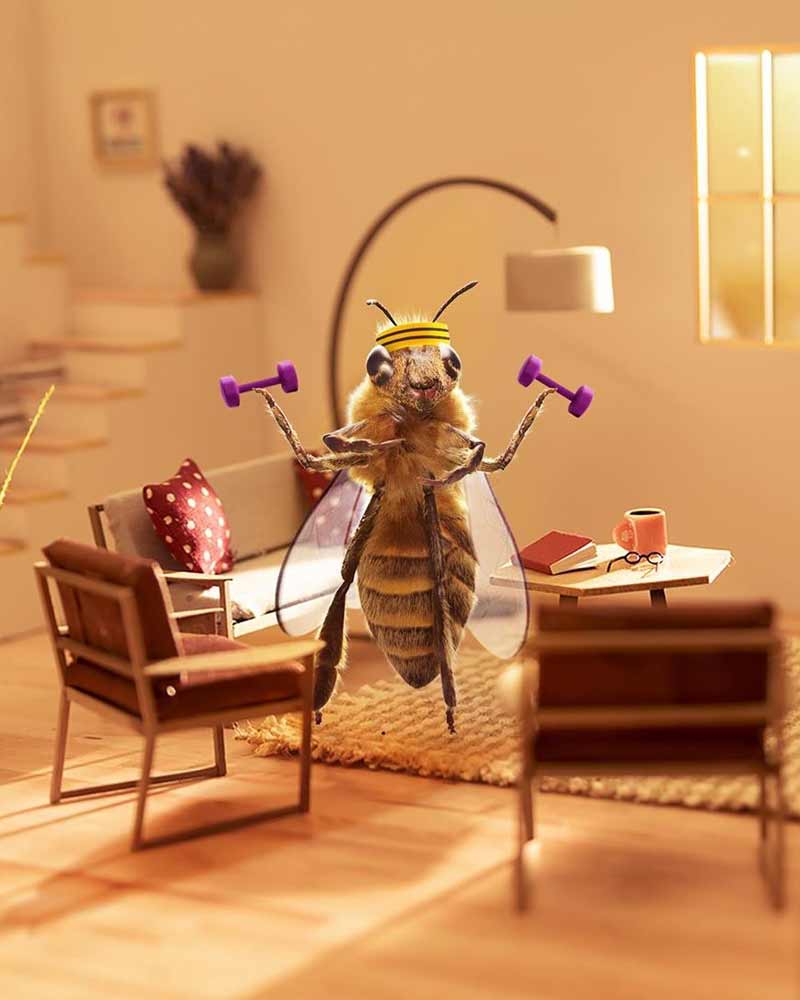 17.-Bee.-.jpeg