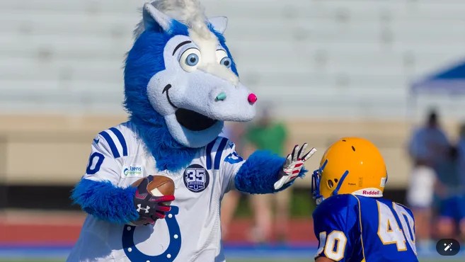 Sport mascots 