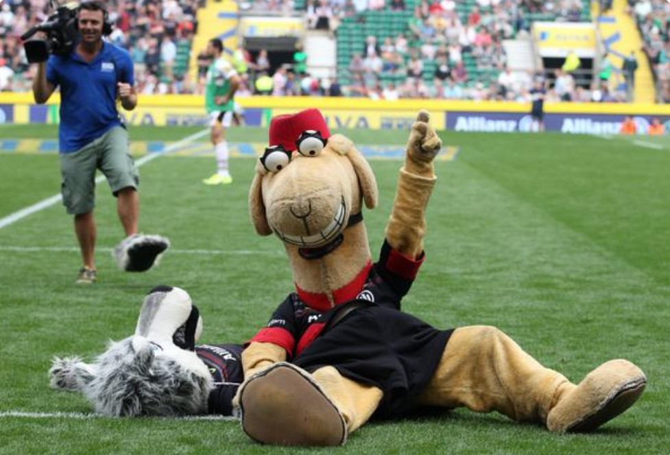 sport mascots 
