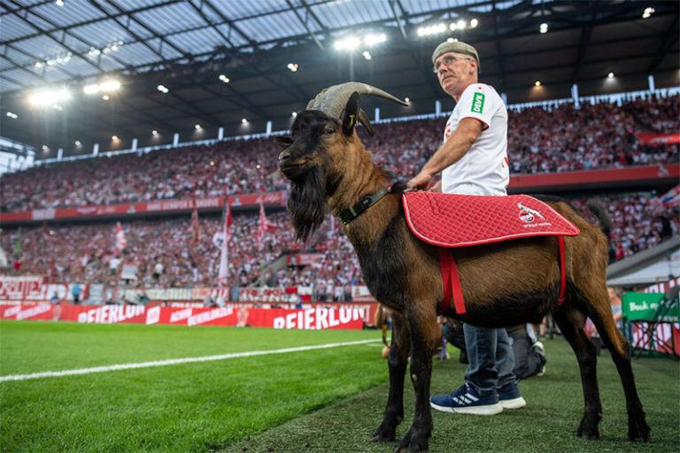 soccer mascots