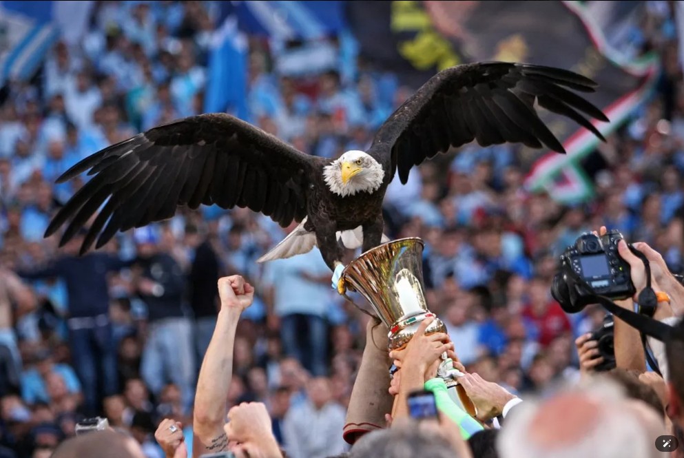 soccer mascots