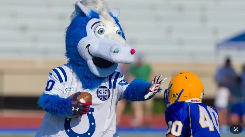 sports mascots